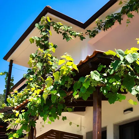 Island View Villa-3